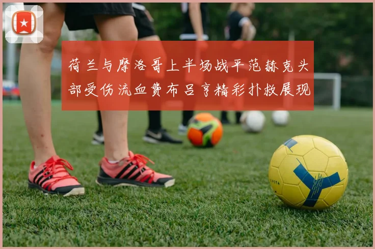 荷兰与摩洛哥上半场战平范赫克头部受伤流血费布吕亨精彩扑救展现实力