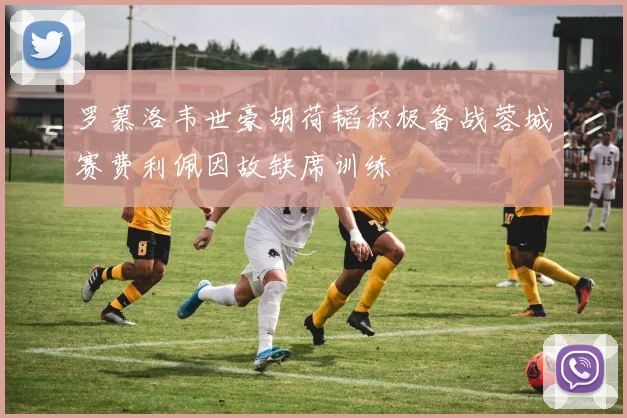 罗慕洛韦世豪胡荷韬积极备战蓉城赛费利佩因故缺席训练